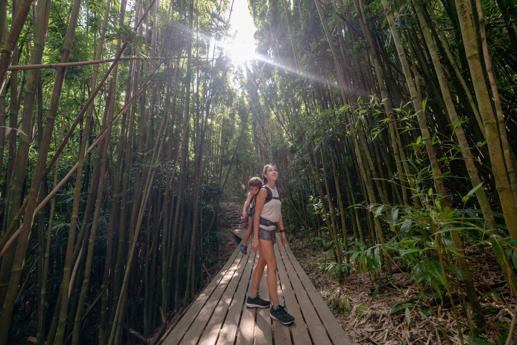 Woman Hiking Through Tropical Forest With Toddler On Her Back In Baby Carrier