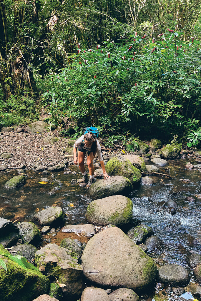 05 Maunawili Falls Trail Ctf