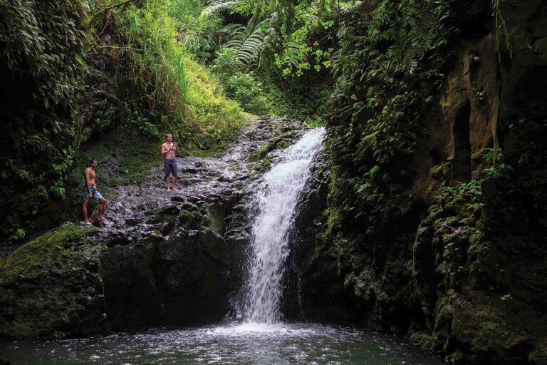 01 Maunawili Falls Trail Gs