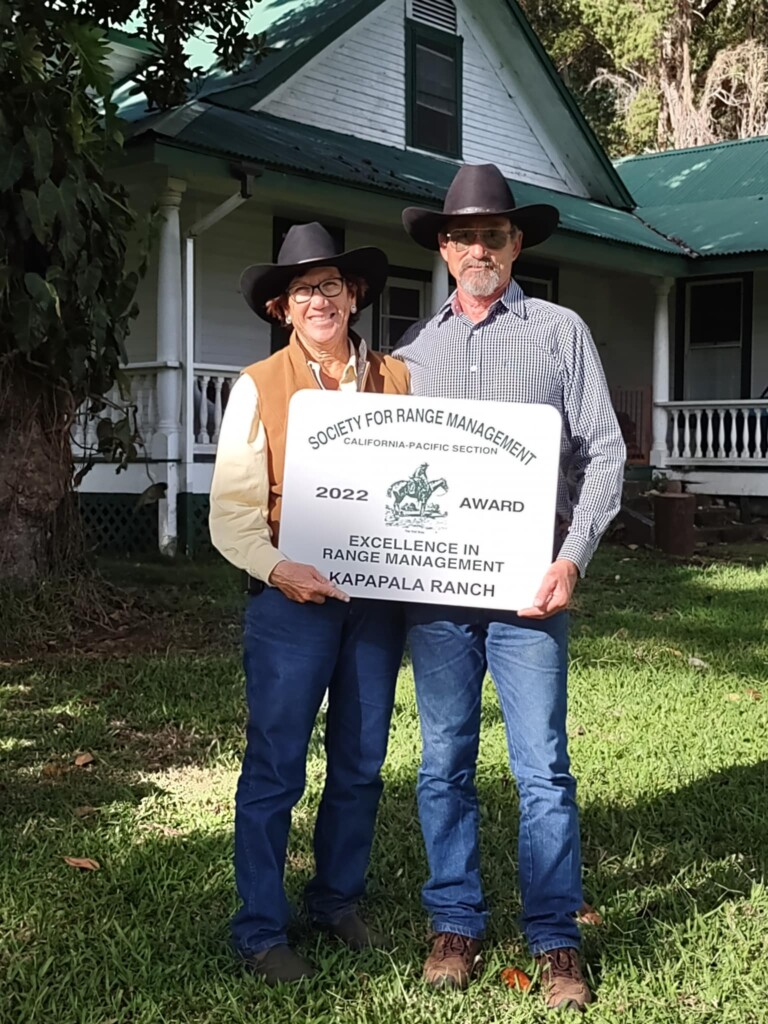 328847330 1216713642384123 6037972253208903164 N