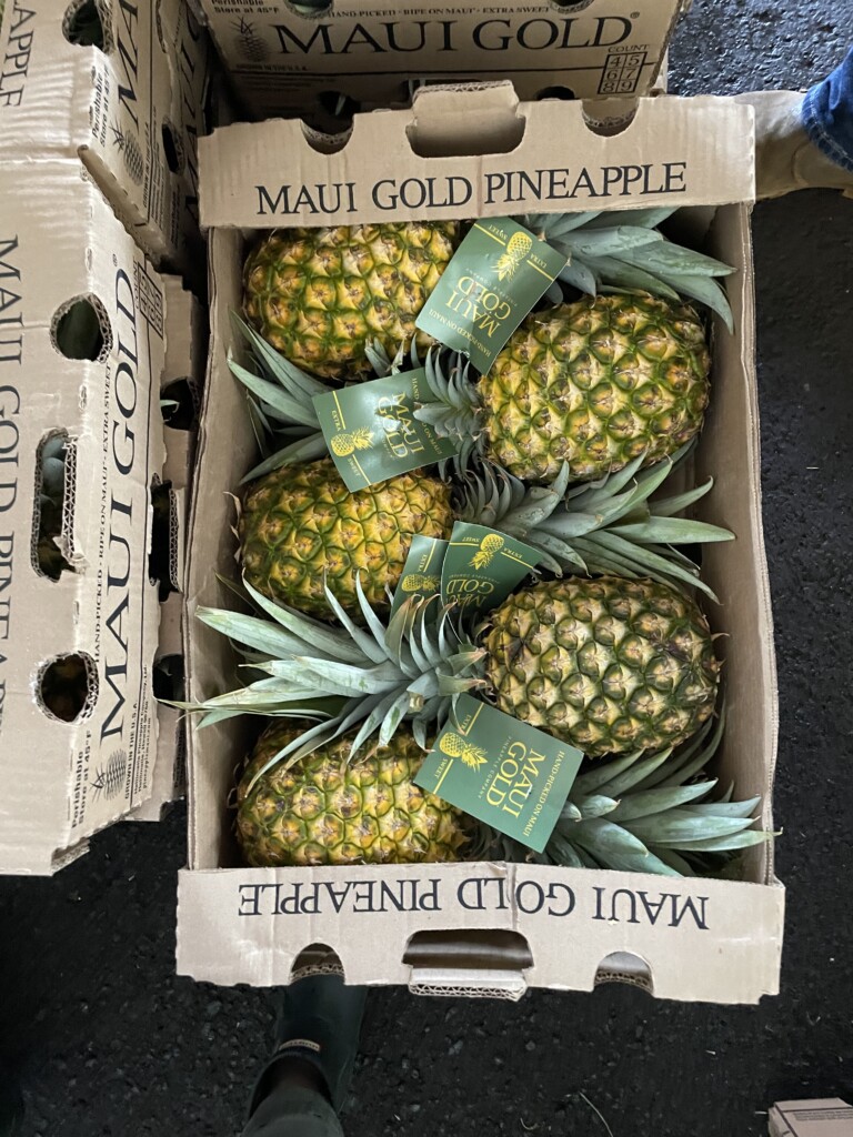 Credit Maui Gold Pineapple Photo Aug 10 2023 8 39 58 Am