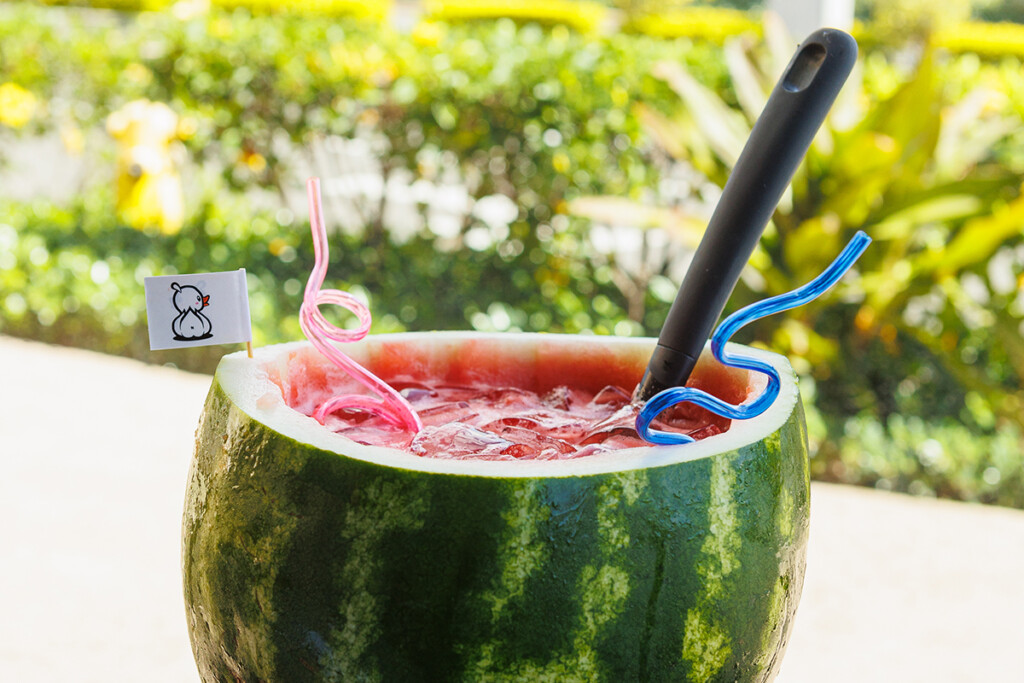 03 Bowled Over Watermelon Soju Ay