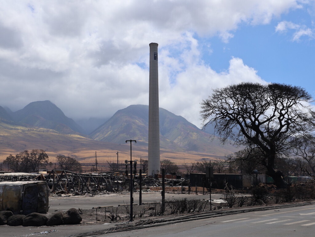 53107589537 593db2b39b K