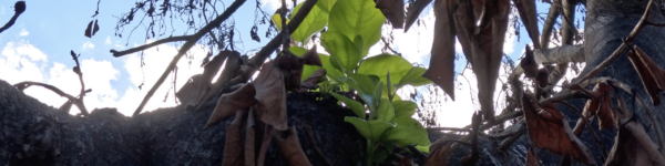 Screen Shot 2023 09 19 At 14328 Pm