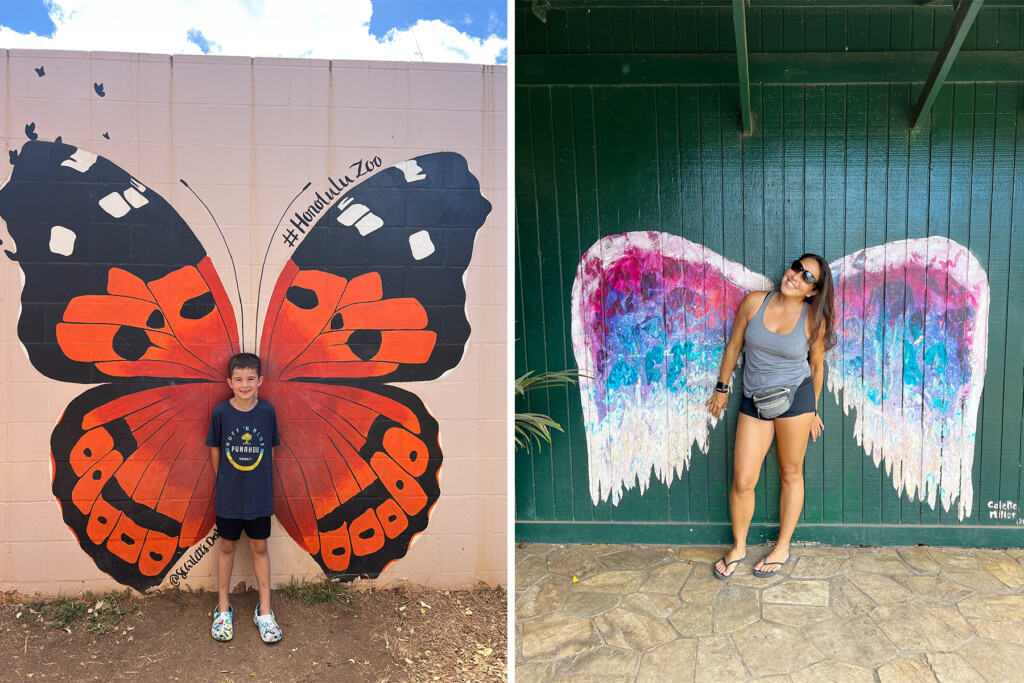 20231109 Oahu Photos Ctf Wings