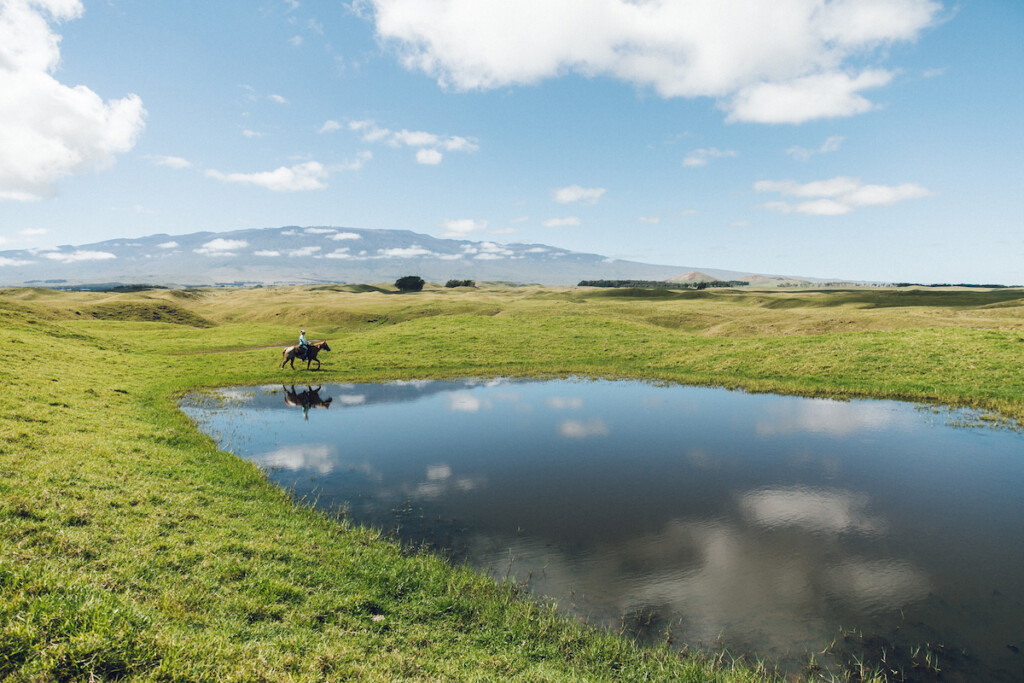 20240129 Uncrowded Hawaii Waimea Hta 17537