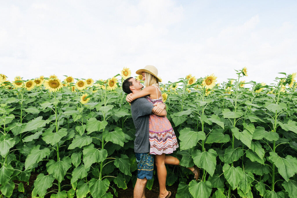 20240202 Date Night Oahu Ctf Waialua Sunflowers Hta 15812