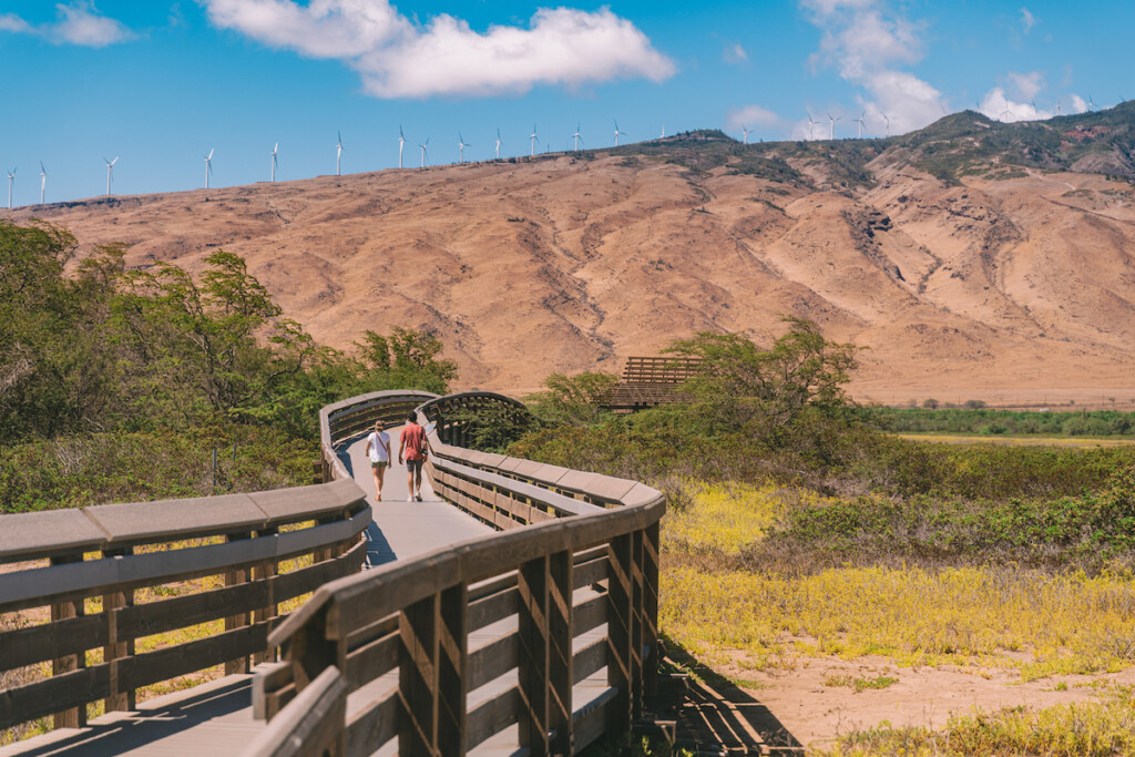 20240129 Uncrowded Hawaii Kealia Hta 20091