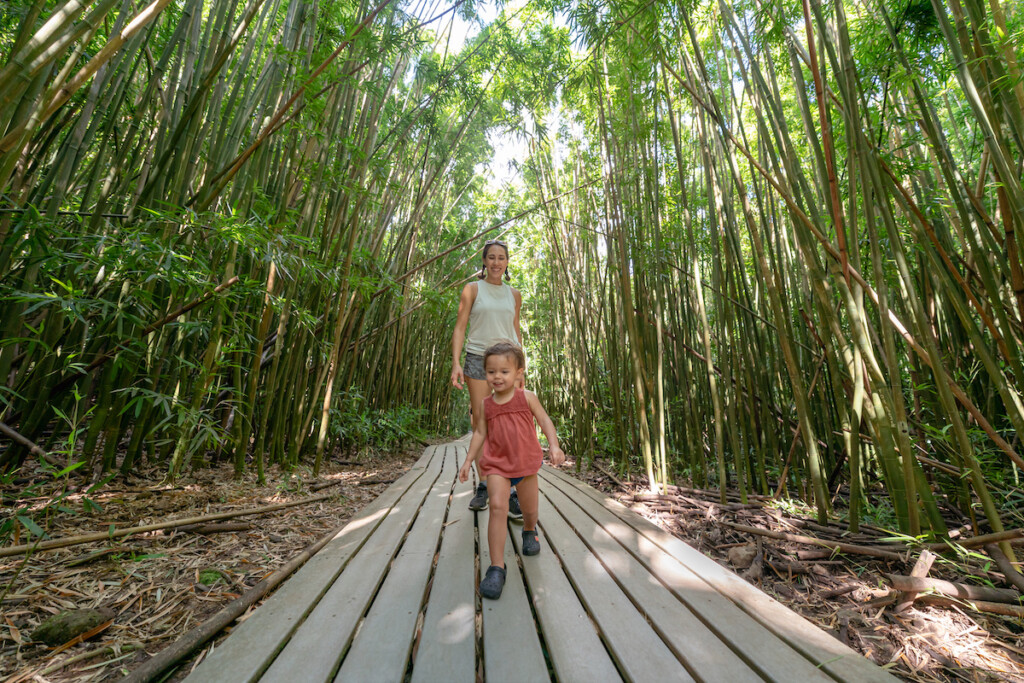 Happy Toddler Girl Hiking With Her Mom Through Bamboo Forest
