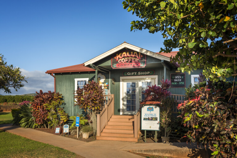 Kauai Coffee 065 1