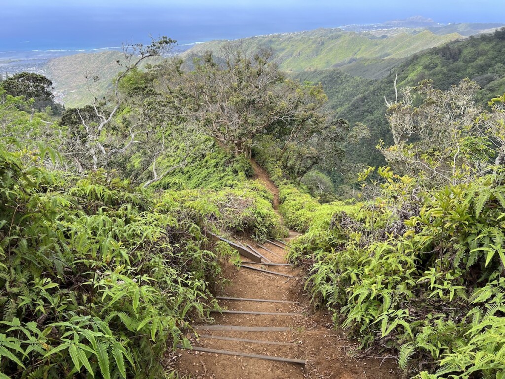20240426 Bob Oahu Hikes Kuliouou Ctf