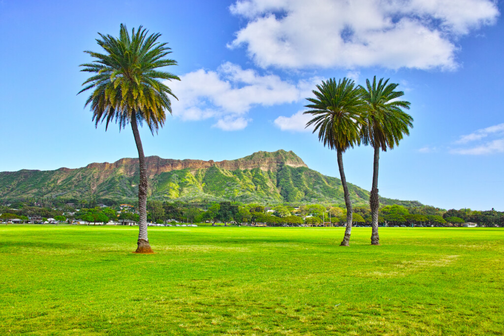Diamond Head Seen From Kapiolani Park