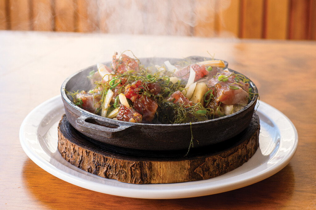 05 Moon Turtle Aaron K Yoshino