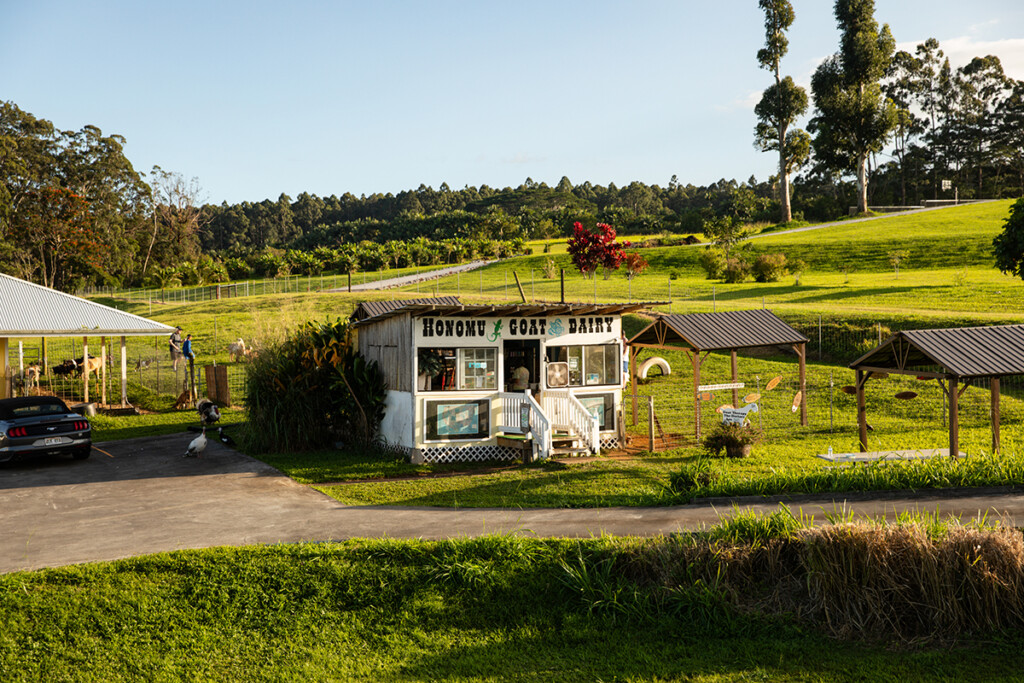 01 Dairy Farm Stand Nani Welch