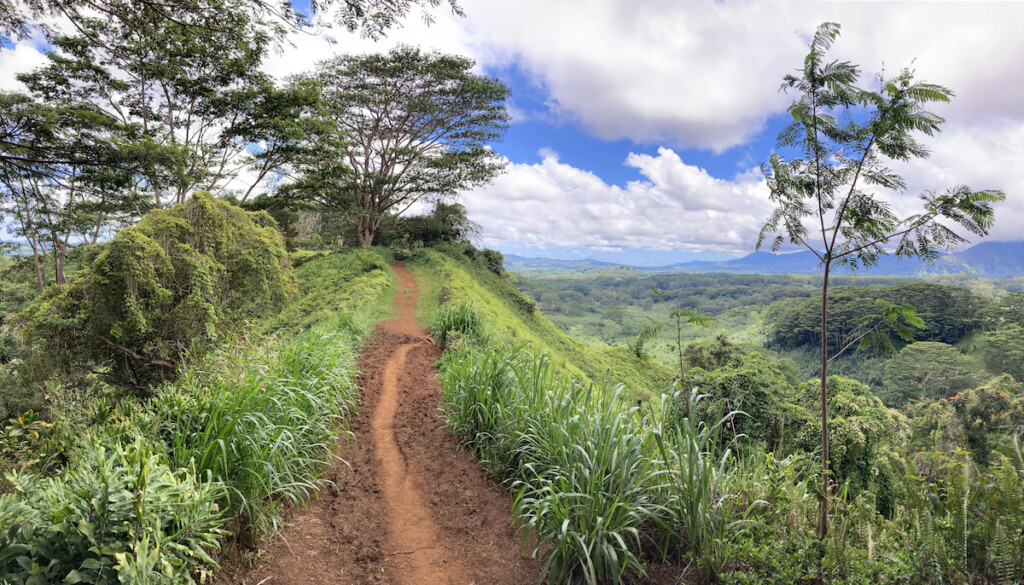 Kuilau Ridge Trail; Kauai, Hawaii