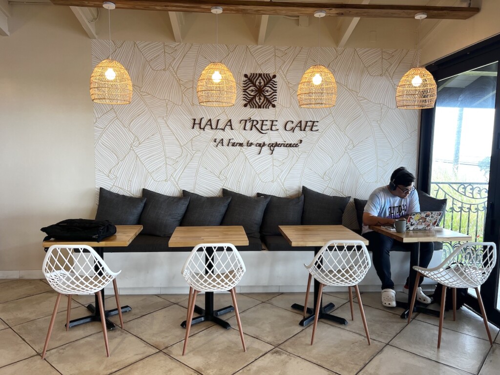 20240821 Halatree Interior Ctf