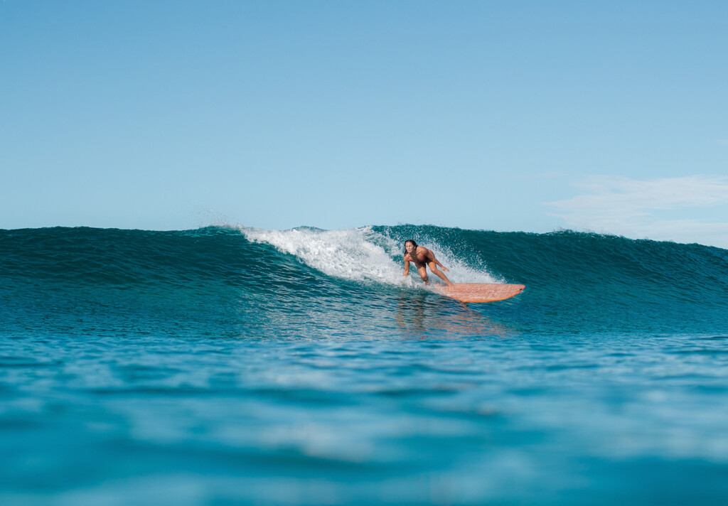 20240904 Albizia Surfboard Websitequality