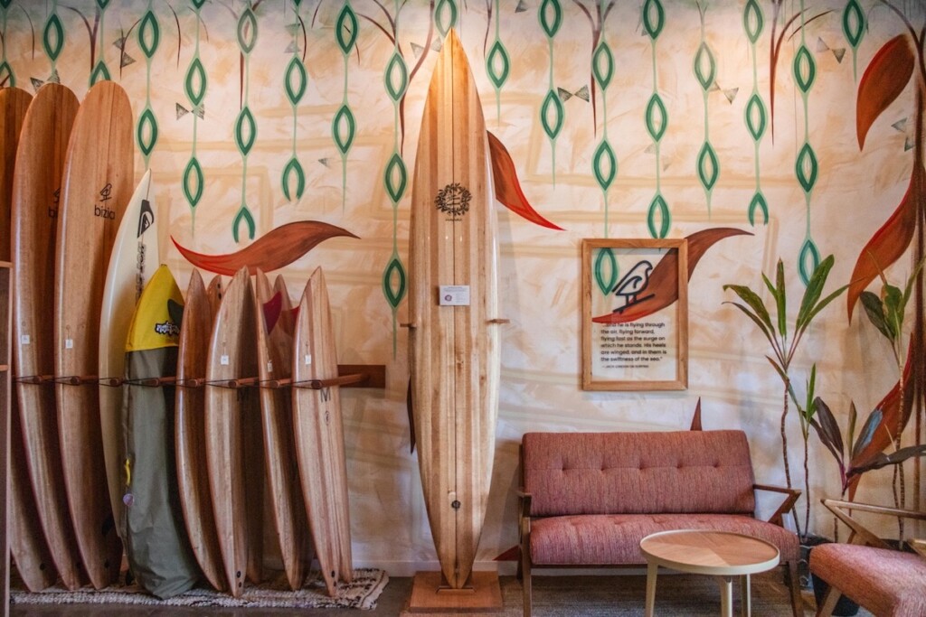 20240904 Albizia Boards Img 9922 Small