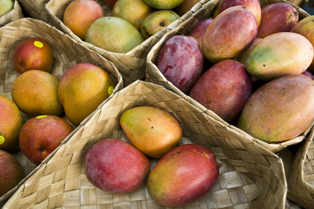 01 0724 Kau Kau Mango Dc