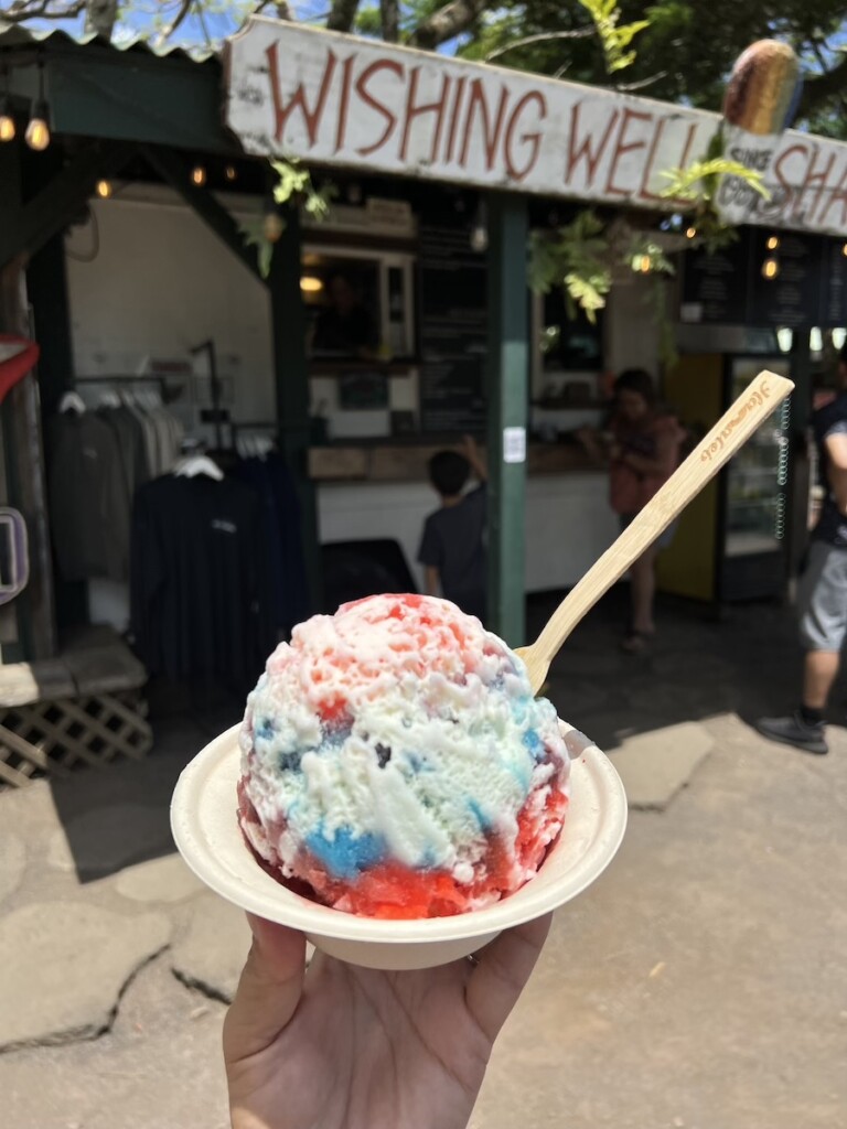 20241002 Bob Kauai Shave Ice Wishing Well Ctf Copy