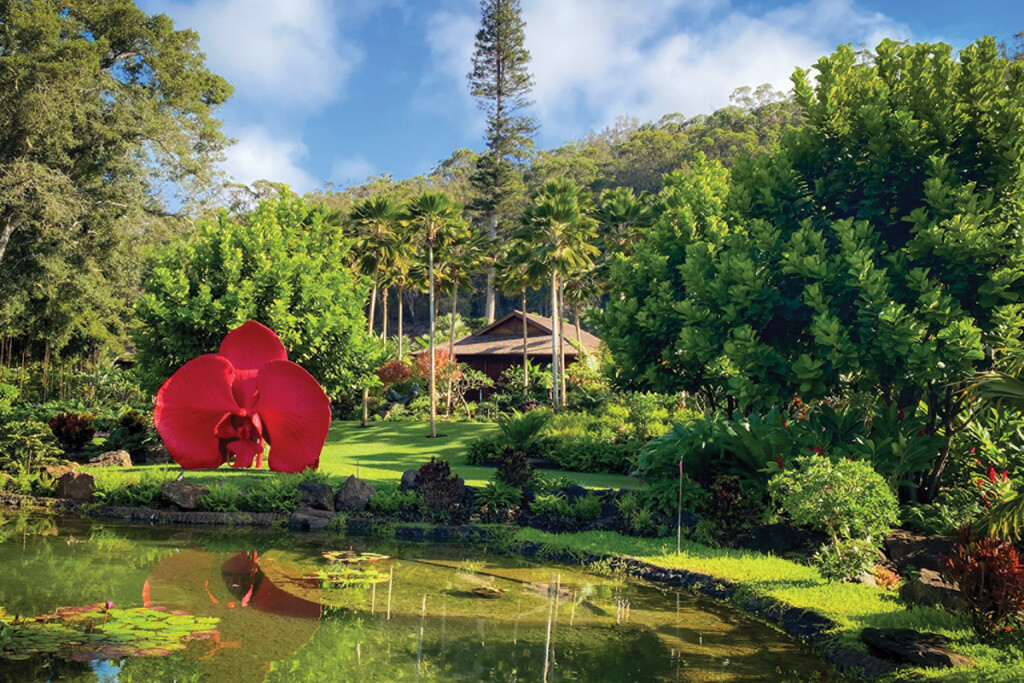 06 0724 Sensei Lanai