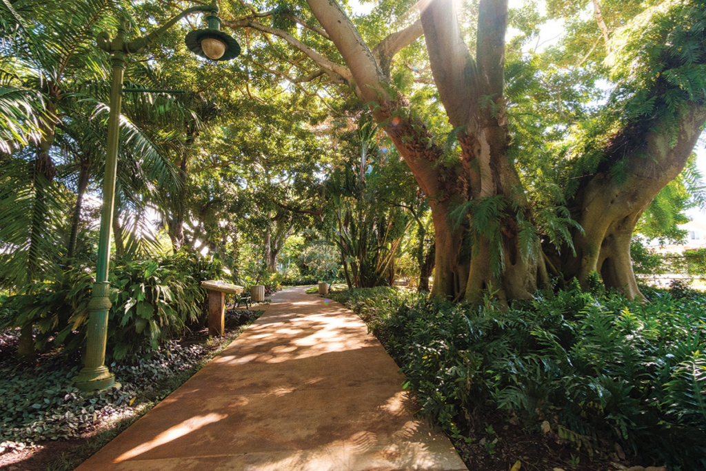 Wahiawabotanicalgardensay