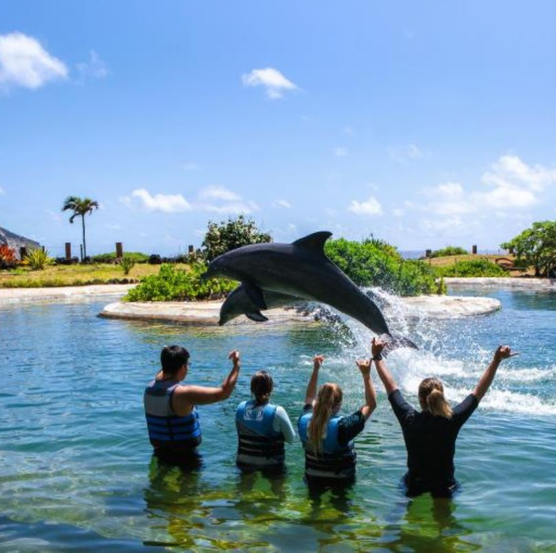 SeaLifePark Sealifepark