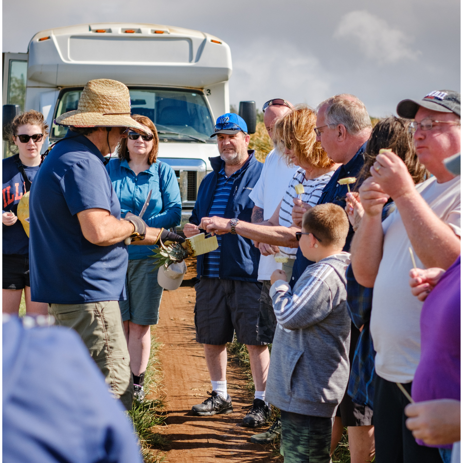 Mauigoldpineappletourhim