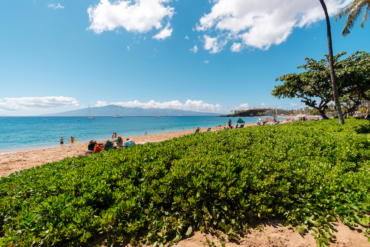 Your Updated Guide to West Maui - HAWAIʻI Magazine