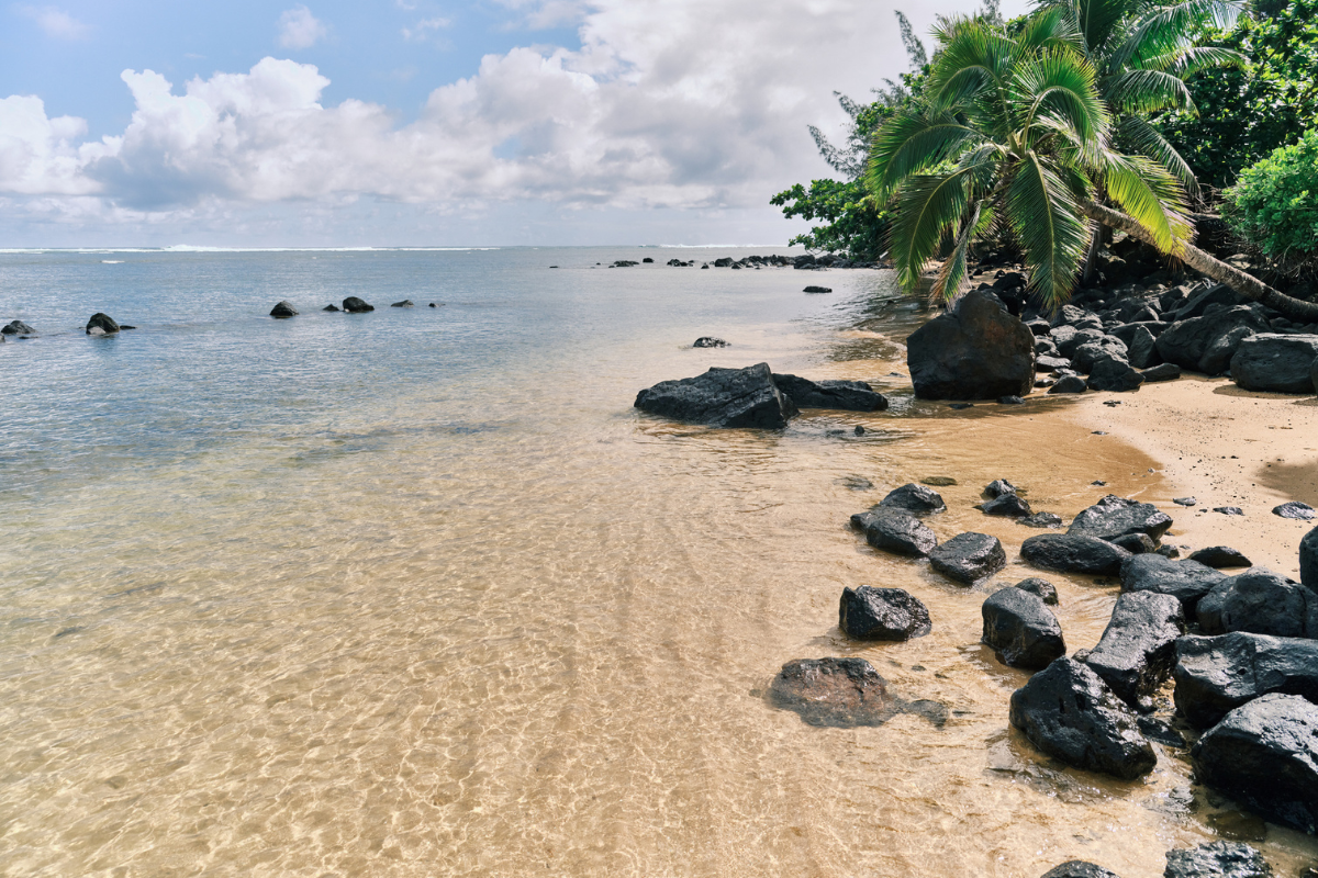 Aninibeach