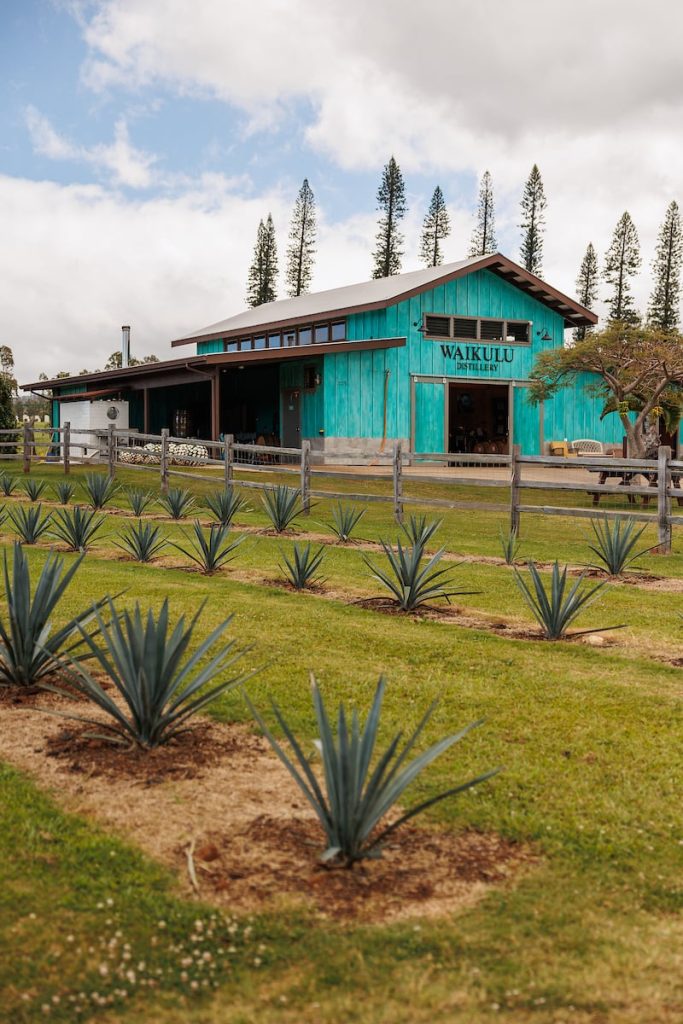 Him2506 Ay Maui Waikulu Distillery 52