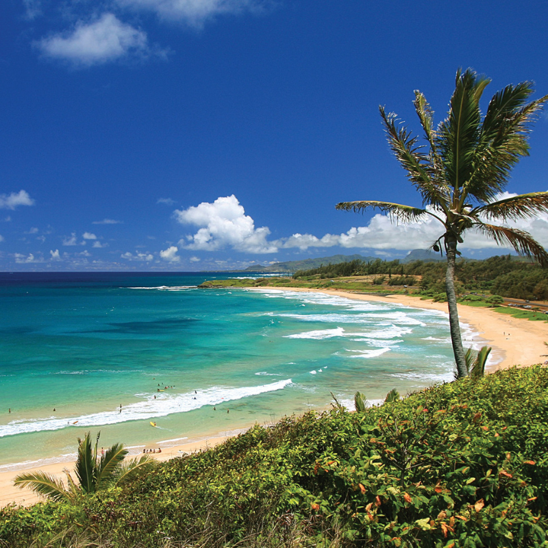 RoyalCoconutCoast Royal Coconut Coast Kauai