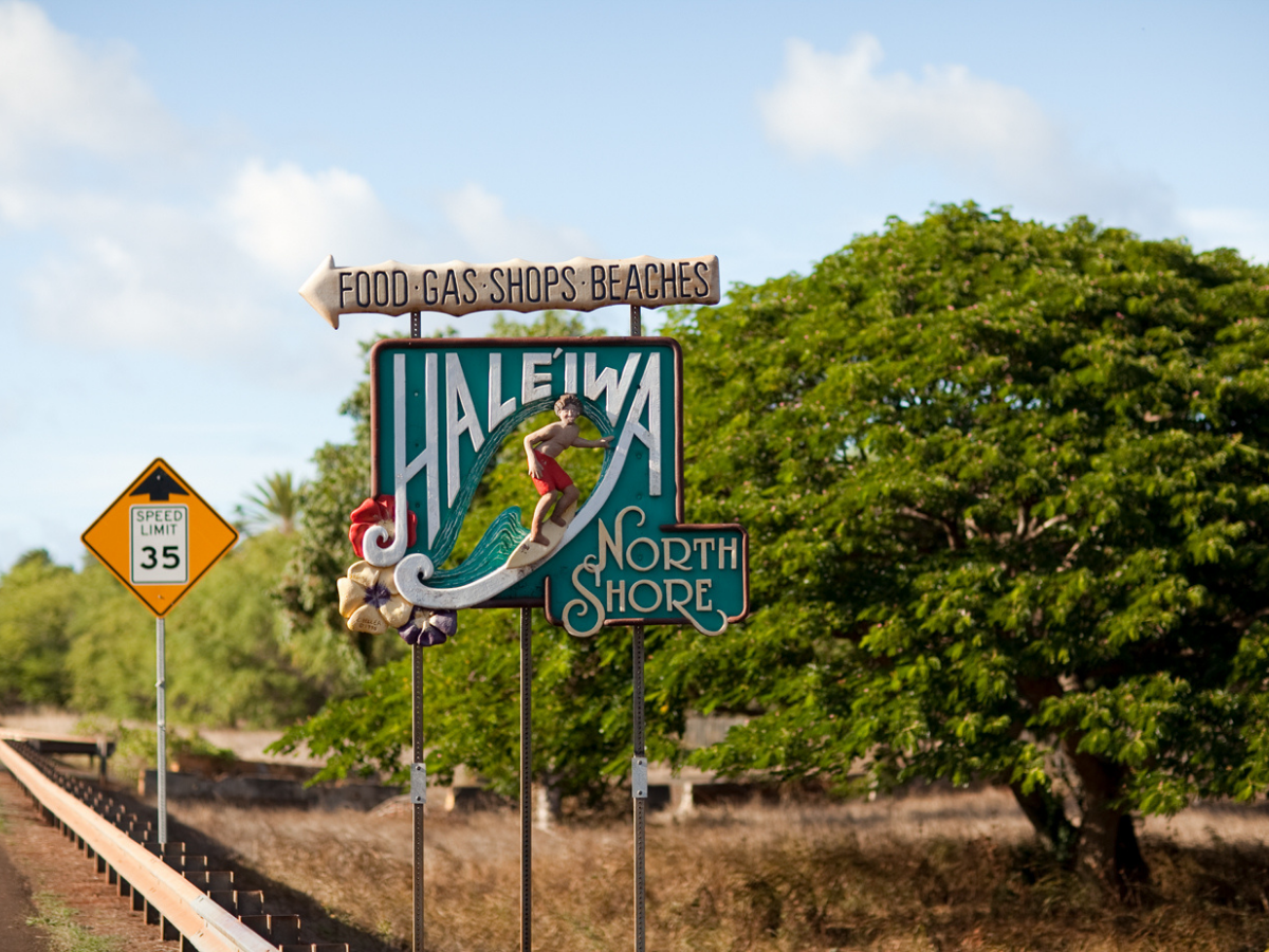 North Shore Rising: Community and Resilience After the Storms